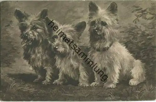 drei kleine Hunde - signiert N. Parker - Verlag W.R.B. & Co. Vienne