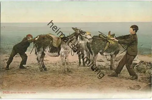 störrische Esel - Edition Photoglob Co. Zürich