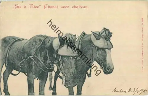 Ete a Nice - Cheval avec chapeau - Edition H. Guggenheim & Co. Zürich