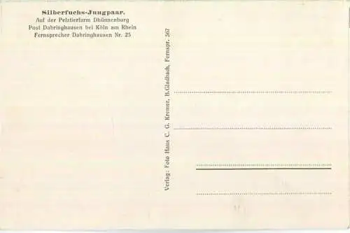 Silberfuchs - Jungpaar - Pelztierfarm Dhünnenburg Dabringhausen bei Köln  - Verlag C. G. Kremer B. Gladbach