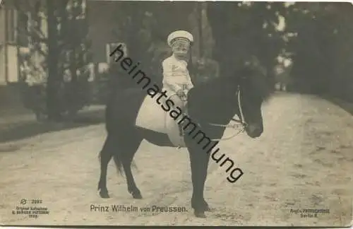 Preussen - Prinz Wilhelm von Preussen - Aufnahme G. Berger Potsdam 1908
