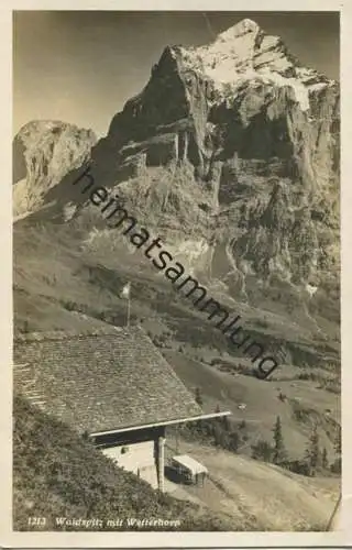 Hotel Alpenrose Waldspitz mit Wetterhorn - Foto-AK - Verlag Photo-Suisse Grindelwald gel. 1936