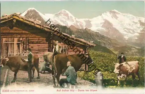 Auf hoher Alp - Edition Photoglob Co. Zürich ca. 1905