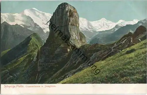 Schynige Platte - Gummihorn und Jungfrau - Verlag Gebr. Wehrli Kilchberg ca. 1905