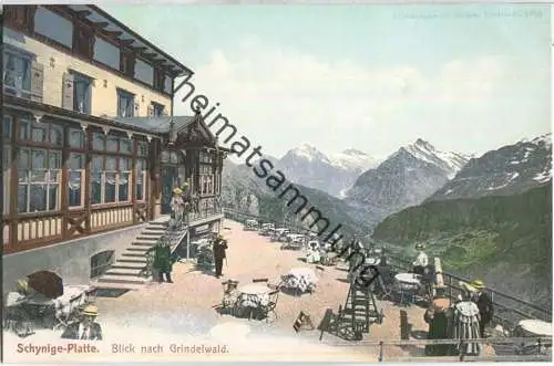 Schynige Platte - Blick nach Grindelwald - Edition R. Gabler Interlaken ca. 1905