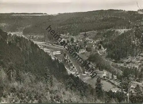 Bad Liebenzell - Foto-AK Grossformat - Verlag Gebr. Metz Tübingen