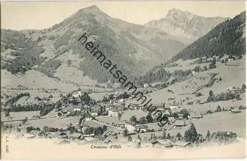Chateau d'Oex - Edition Jullien freres Geneve ca. 1900