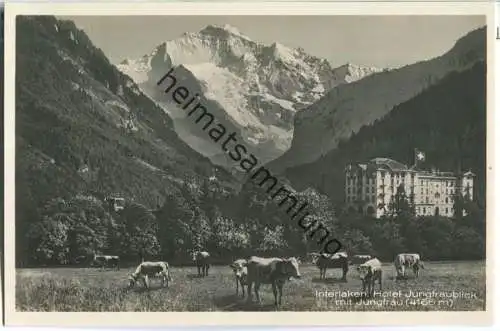 Interlaken - Hotel Jungfraublick mit Jungfrau - Foto-Ansichtskarte 20er Jahre - Edition Photoglob Zürich