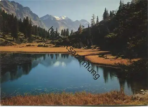 Lagh de Pian Doss - Lago Dosso - AK Grossformat