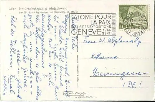 Aletschwald am Grossen Aletschgletscher - Foto-AK - Verlag Gyger & Klopfenstein Adelboden gel. 1958