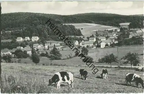 Wallenstein-Knüllwald - Foto-Ansichtskarte - Verlag Eigenbrod Homberg 60er Jahre