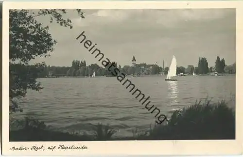 Berlin-Tegel - Blick auf die Insel Hasselwerder - Foto-Ansichtskarte 50er Jahre
