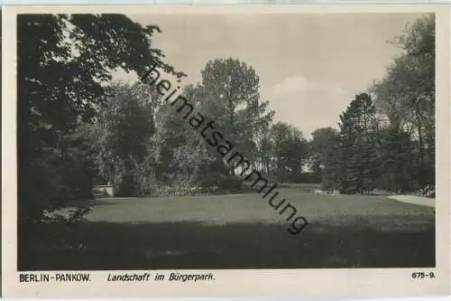 Berlin-Pankow - Landschaft im Bürgerpark - Verlag Ludwig Walter Berlin - Foto-Ansichtskarte 40er Jahre