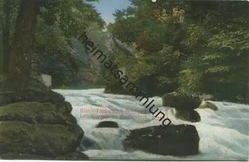 Biel - Taubenloch-Schlucht - Verlag F. Graenicher Biel gel. 1918