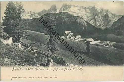 Plätzwiesen - Monte Cristallo - AK ca. 1900 - Verlag J. Gugler Bozen