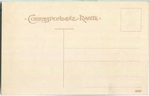 Gasthaus Hochsteg - Zillertal - AK ca. 1910 - Verlag Joh. Maidler Mayrhofen