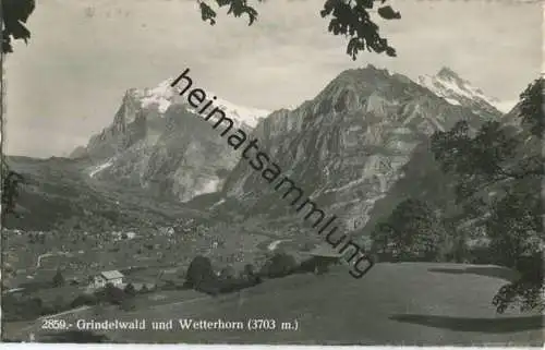 Grindelwald - Foto-AK - Verlag Societe Graphique Neuchatel gel. 1951