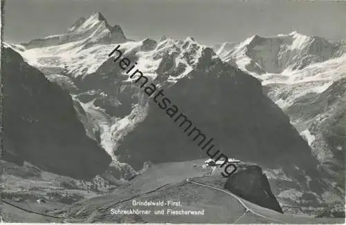 Grindelwald - First - Foto-AK - Verlag Photoglob-Wehrli Zürich gel. 1959