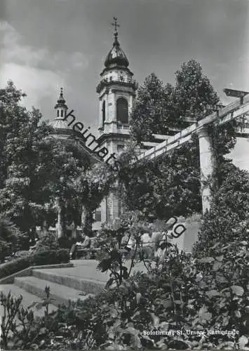 Solothurn - St. Ursen - Kathedrale - Foto-AK Grossformat - Verlag J. Gaberell Thalwil gel. 1962