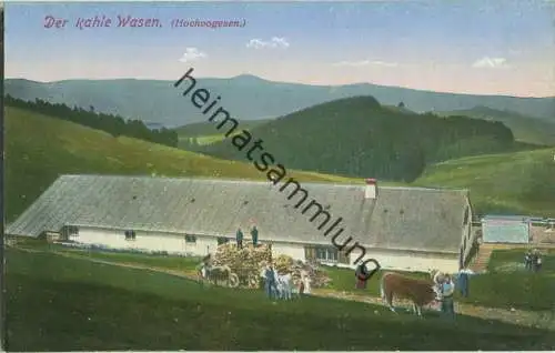 Der Kahle Wasen - Verlag Emil Hartmann Strassburg