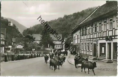 Zorge - Foto-Ansichtskarte - Verlag Carl Thoericht Hann. Münden