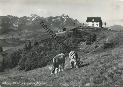 Gäbris - Gasthaus Gäbris - Foto-AK Grossformat - Verlag Hugo Kopp Zürich