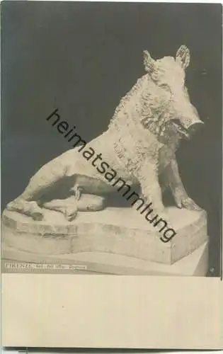 Firenze - Galleria dell' Uffizi - Cinghiale