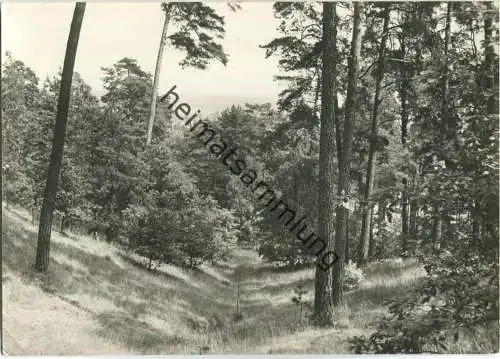 Berlin-Müggelheim - Müggelberge - Verlag H. Sander Berlin