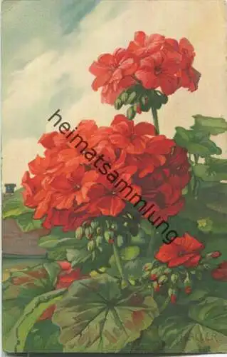 Anna Haller - Verlag Meissner & Buch Leipzig Serie 1963 - Geranium