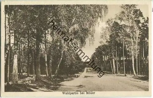 Möser - Waldpartie - Bahnpost