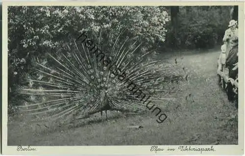 Berlin-Kreuzberg - Pfau im Victoriapark - Verlag J. Goldiner Berlin 40er Jahre