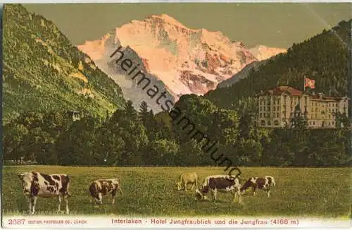 Interlaken - Hotel Jungfraublick und die Jungfrau - Edition Photoglob Co. Zürich ca. 1905