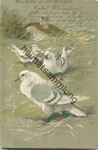 Tauben - Prägedruck