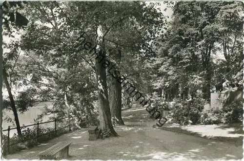 Nienburg - Promenade - Foto-Ansichtskarte - Verlag Schöning & Co. Lübeck