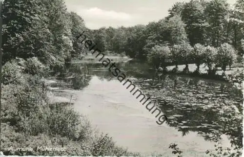 Aumühle - Mühlenteich - Foto-Ansichtskarte - Verlag Ferd. Lagerbauer & Co. Hamburg