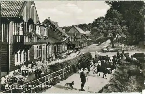 Bad Harzburg - Harzhotel Molkenhaus - Foto-Ansichtskarte - Verlag Carl Friedrich Fangmeier Bad Harzburg