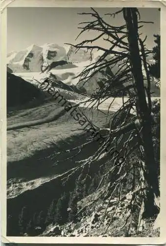 Piz Palü mit Morteratschgletscher - Foto-AK - Verlag G. Sommer Samaden