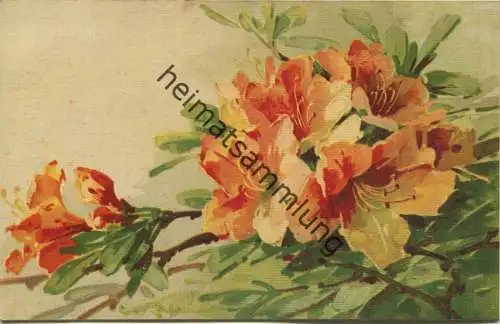 Catharina C. Klein - Rhododendron-Blüte  - Verlag C. Klein Studien-Serie