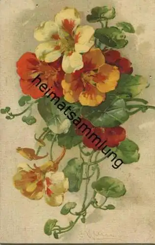 Catharina C. Klein - Kapuzinerkresse - Verlag C. Klein Studien-Serie