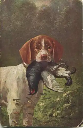 Jagdhund - Auerhahn - signiert Müller jun. München