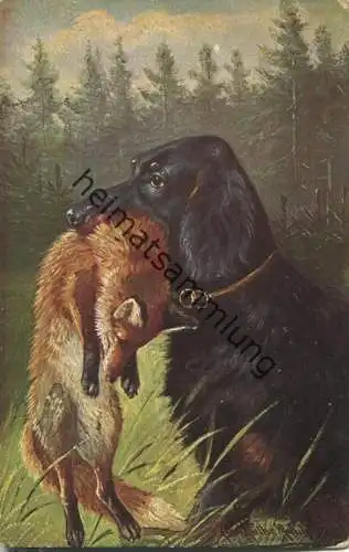 Jagdhund - Fuchs - signiert Müller jun. München