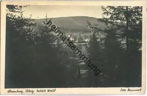 Bad Iburg - Dörenberg - Verlag Foto Remmert - Rückseite beschrieben 1945