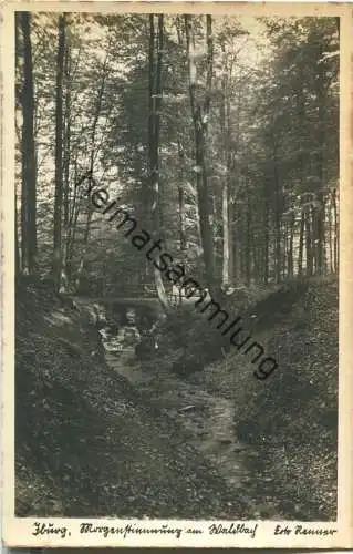 Bad Iburg - Morgenstimmung am Waldbach - Verlag Foto Remmert - Rückseite beschrieben 1945