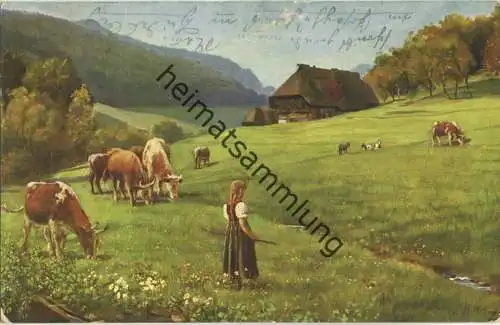 Weidende Herde - Künstlerkarte signiert H. Hoffmann - Verlag Edm. von König Heidelberg