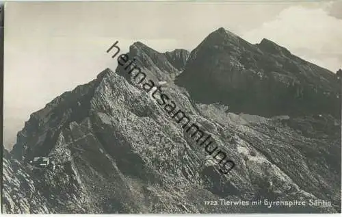 Tierwies mit Gyrenspitze - Säntis - Foto-Ansichtskarte ca. 1910 - Verlag Frei & Co. St. Gallen