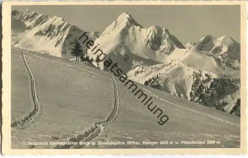 Gerlosplatte - Blick gegen Sendelspitze - Hanger und Pfandkogel - Foto-AK - Verlag C. Jurischek Salzburg