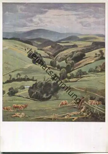 HDK214 - Viehweide - Gustav Traub - Verlag Heinrich Hoffmann München