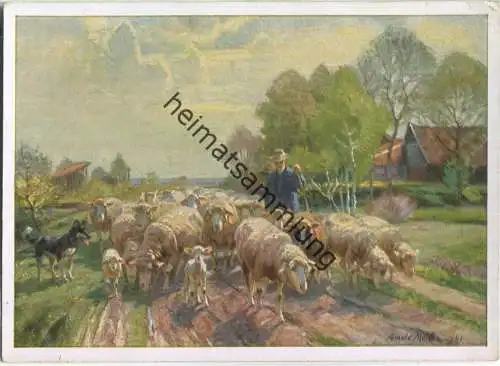 HDK212 - Schafherde im Moos - Arnold Moeller - Verlag Heinrich Hoffmann München