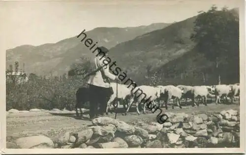 Piemont - Schäfer mit Schafen - Foto-AK - vera Fotografia