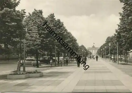 Berlin - Unter den Linden mit Brandenburger Tor - Foto-AK Grossformat - Dick-Foto-Verlag Erlbach gel. 1965